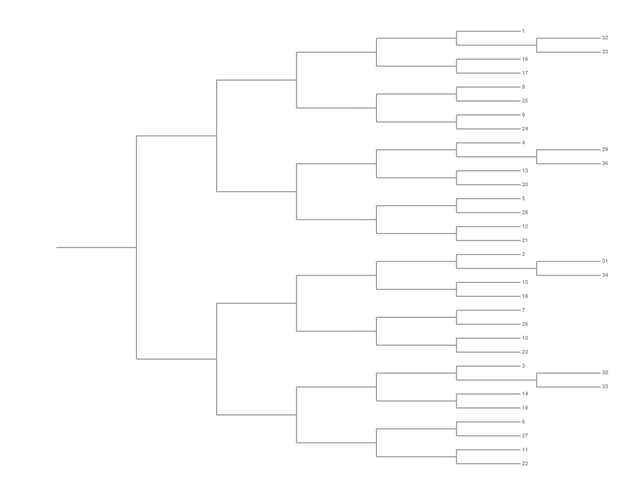 Single Elimination Bracket - Right to Left, 36 Teams, Seeded
