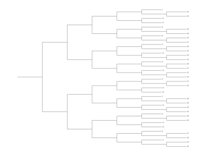 Single Elimination Bracket - Right to Left, 45 Teams, Seeded