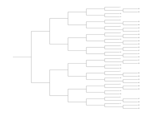 Single Elimination Bracket - Right to Left, 45 Teams, Seeded