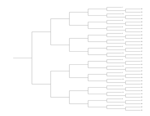 Single Elimination Bracket - Right to Left, 48 Teams, Seeded
