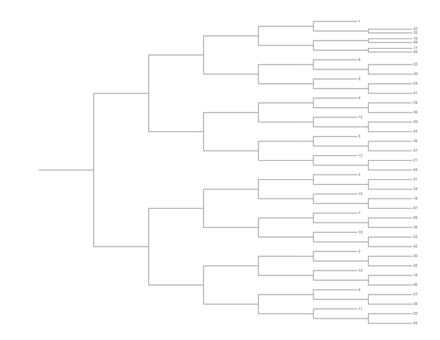 Single Elimination Bracket - Right to Left, 49 Teams, Seeded