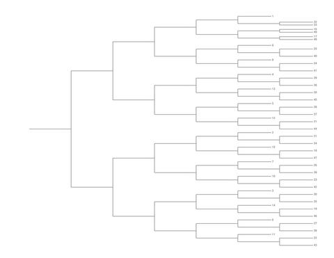 Single Elimination Bracket - Right to Left, 49 Teams, Seeded