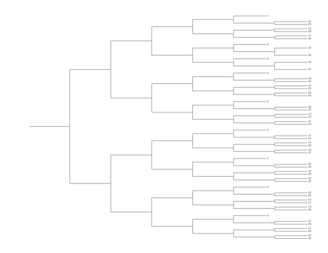 Single Elimination Bracket - Right to Left, 55 Teams, Seeded