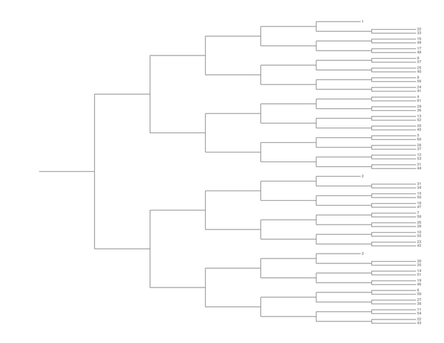 Single Elimination Bracket - Right to Left, 61 Teams, Seeded