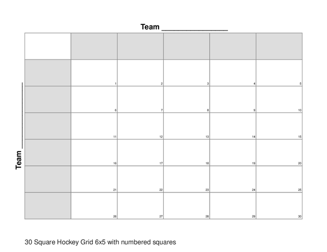 30 Square Hockey Grid 6x5 with numbered squares